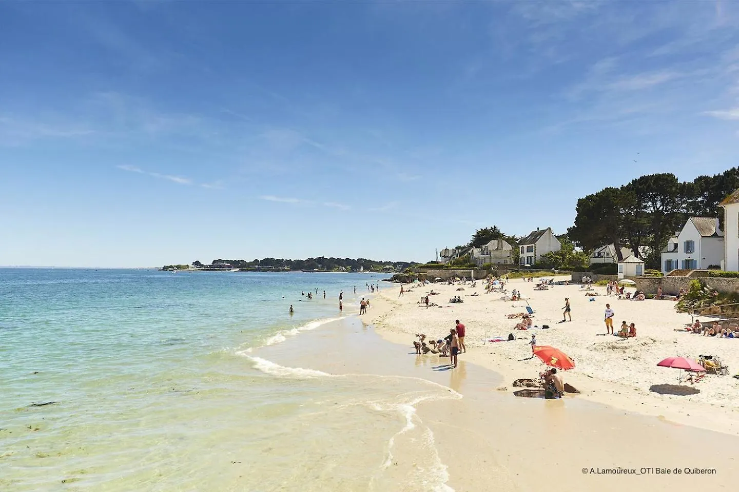 Apartamento Appartement Cosy Proche Du Centre-Ville D'Auray